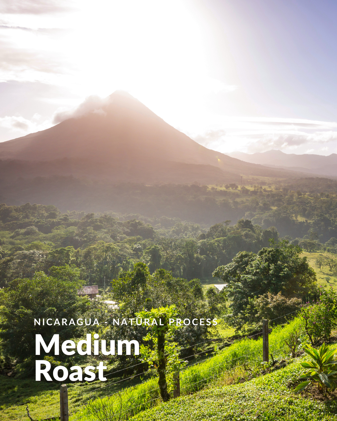 Nicaragua Medium Roast Coffee – Natural Process