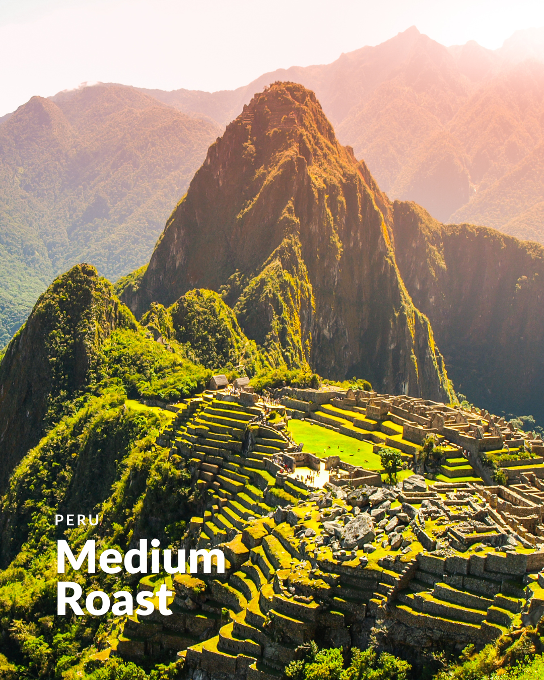 Peru Medium Roast