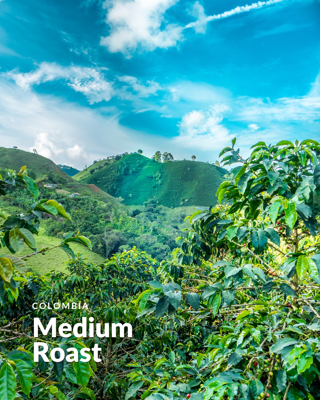 Colombia Medium Roast